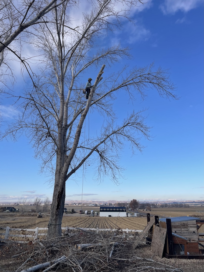 Kingdom Tree Care crew on a recent tree service job in Caldwell, ID