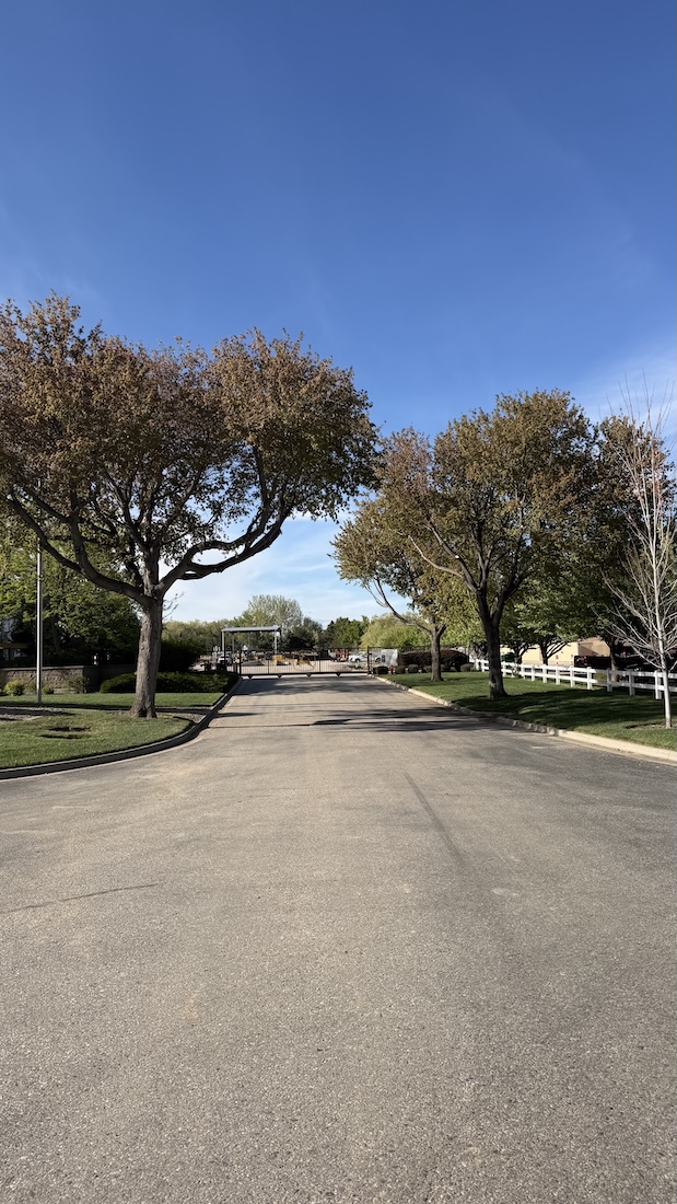 Job site cleanup after tree service work